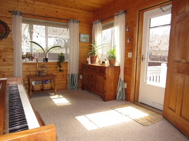 1211 Diagonal Rd, Worthington, MN 56187 - entryway with wood walls, carpet, and wood ceiling