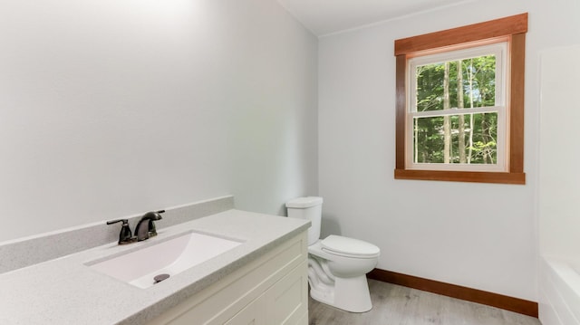 24888 65th Ave, Sigel Twp, WI 54727 - full bathroom featuring wood finished floors, vanity, and a tub to relax in