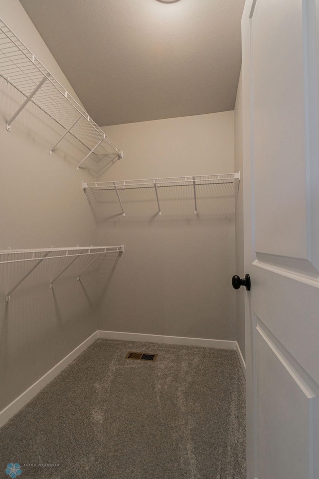 spacious closet featuring visible vents and carpet floors