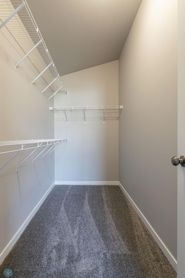 walk in closet featuring carpet floors