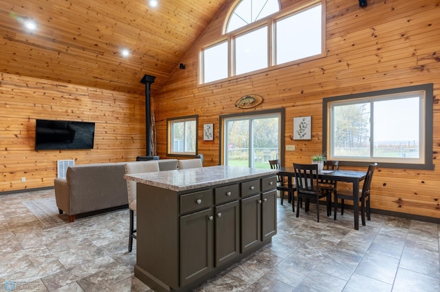 33489 Strawberry Dr, Sugar Bush E Twp, MN 56569 - photo 19