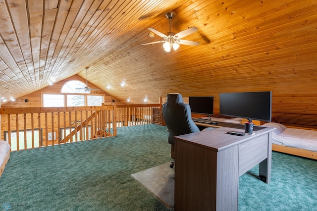 33489 Strawberry Dr, Sugar Bush E Twp, MN 56569 - photo 29