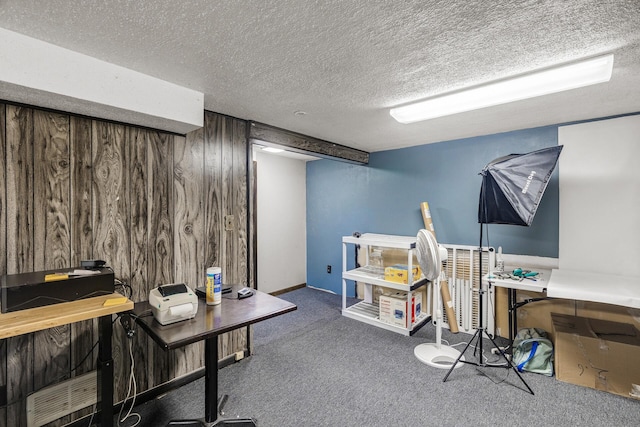7716 Orchard Ave N, Brooklyn Park, MN 55443 - recreation room featuring carpet, wooden walls, and a textured ceiling