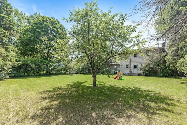 7716 Orchard Ave N, Brooklyn Park, MN 55443 - view of grassy yard