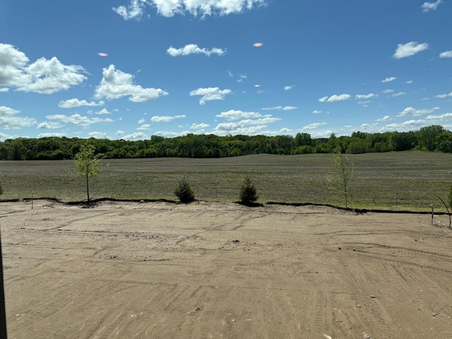 8337 Brumby Trl, Woodbury, MN 55129 - photo 12