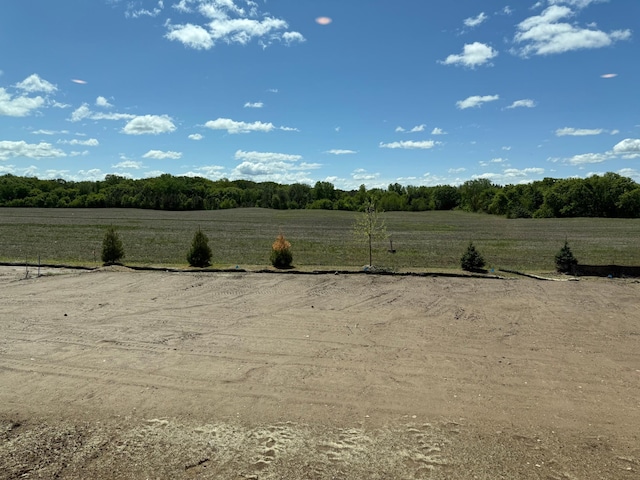 8337 Brumby Trl, Woodbury, MN 55129 - photo 13