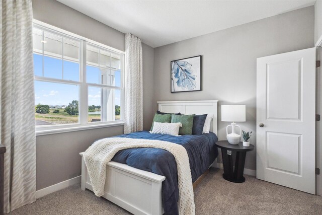 8337 Brumby Trl, Woodbury, MN 55129 - photo 5