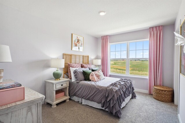 8337 Brumby Trl, Woodbury, MN 55129 - photo 10