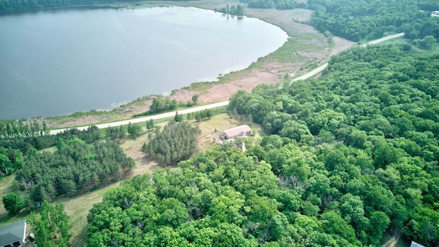 29582 Silent Shore Dr, Dent, MN 56528 - photo 9