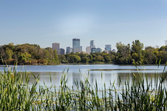 2774 Lake Of The Isles Pkwy, Minneapolis, MN 55416 - water view with city skyline
