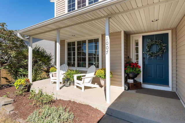 1007 9th St NW, Kasson, MN 55944 - entrance to property with a porch