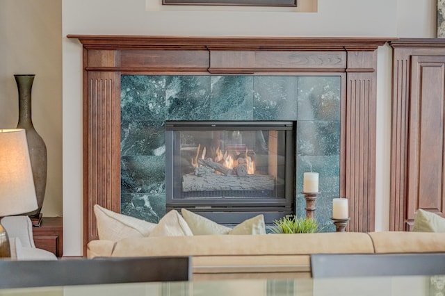 926 Kohlman Ln, Maplewood, MN 55109 - detailed view of a premium fireplace