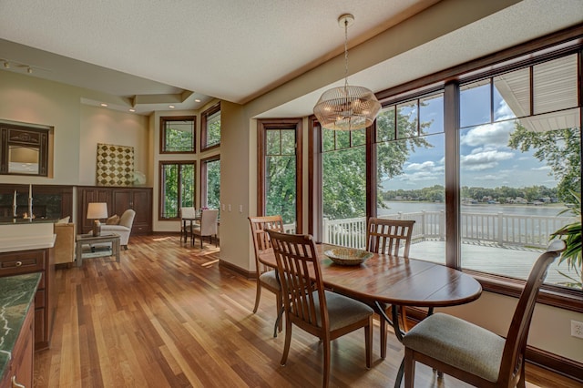 926 Kohlman Ln, Maplewood, MN 55109 - dining area with wood finished floors, plenty of natural light, a water view, and a chandelier
