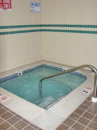 350 Main St N Unit 230, Stillwater, MN 55082 - view of swimming pool