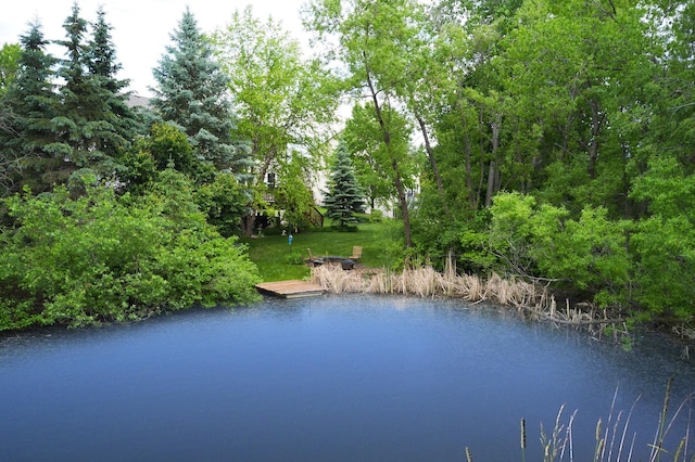 17299 66th Pl N, Maple Grove, MN 55311 - water view with a boat dock
