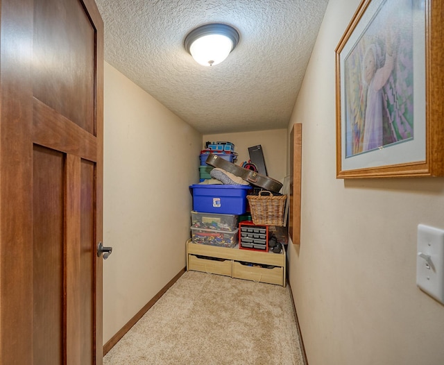 17299 66th Pl N, Maple Grove, MN 55311 - view of storage room