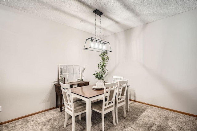 13397 Europa Ct N Unit 5, Hugo, MN 55038 - dining room featuring carpet, a textured ceiling, and baseboards