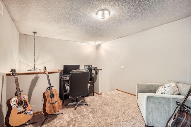 13397 Europa Ct N Unit 5, Hugo, MN 55038 - office with carpet, a textured ceiling, and baseboards