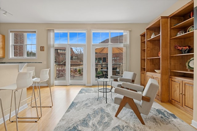 831 River Mews Ct, Minneapolis, MN 55414 - living area featuring light wood finished floors, plenty of natural light, and track lighting