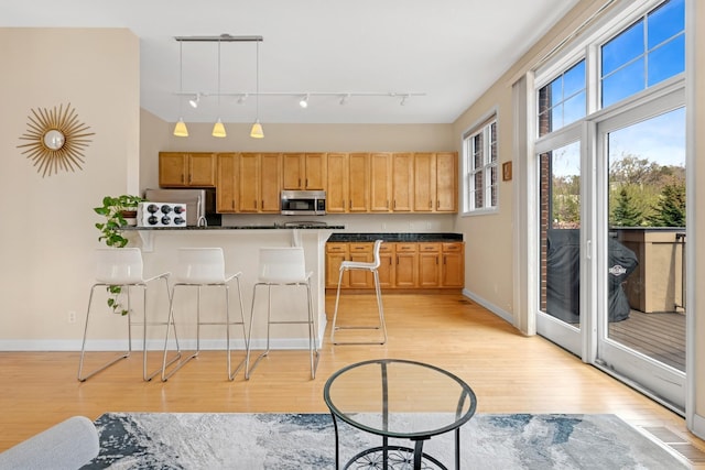 831 River Mews Ct, Minneapolis, MN 55414 - kitchen with stainless steel appliances, a kitchen breakfast bar, dark countertops, light wood-style flooring, and track lighting
