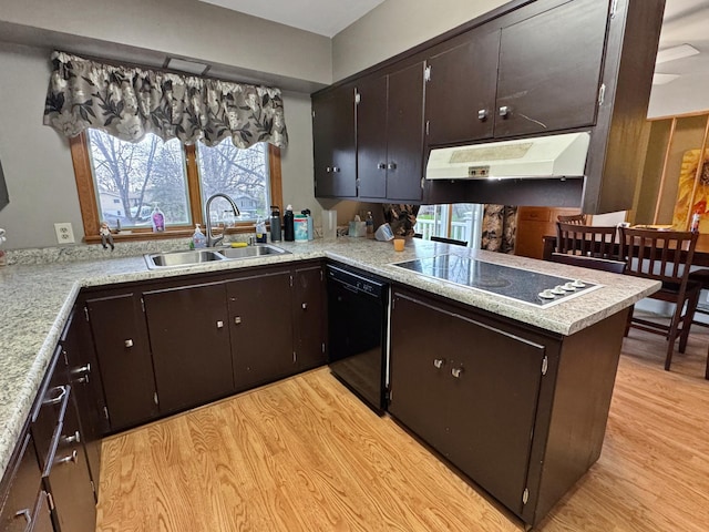 kitchen with a sink, under cabinet range hood, light wood finished floors, and black appliances