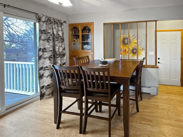 dining space with ceiling fan and light wood finished floors