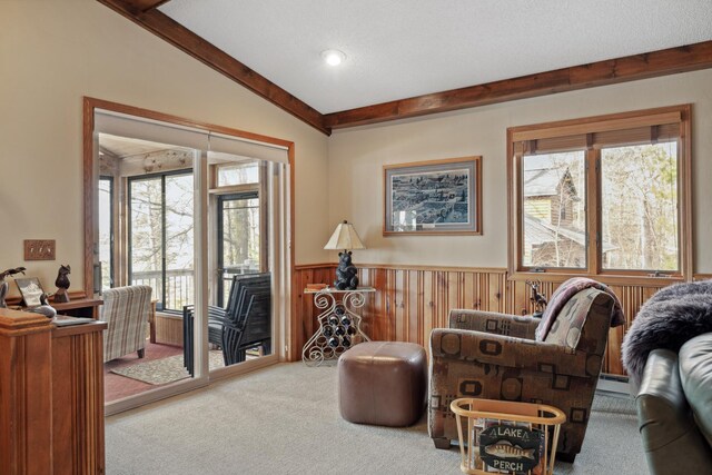 12037 Northgate Ln, Crosslake, MN 56442 - office area featuring carpet flooring, a wainscoted wall, a baseboard radiator, and wood walls