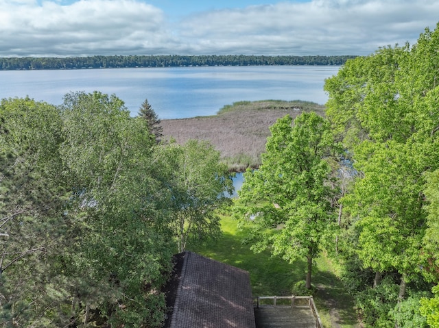 12037 Northgate Ln, Crosslake, MN 56442 - water view
