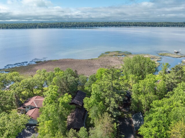 12037 Northgate Ln, Crosslake, MN 56442 - bird's eye view of a large body of water