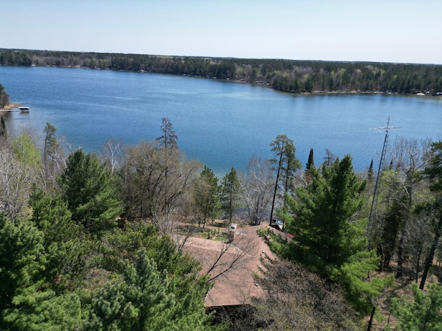 22612 Greenwood Loop, Park Rapids, MN 56470 - water view featuring a heavily wooded area