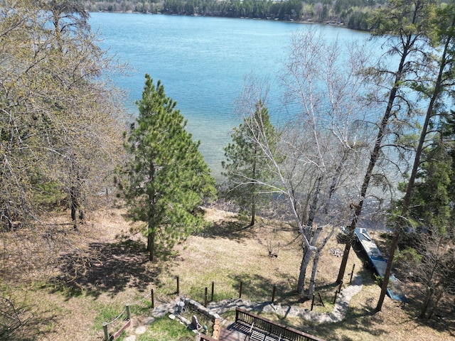 22612 Greenwood Loop, Park Rapids, MN 56470 - water view featuring a heavily wooded area