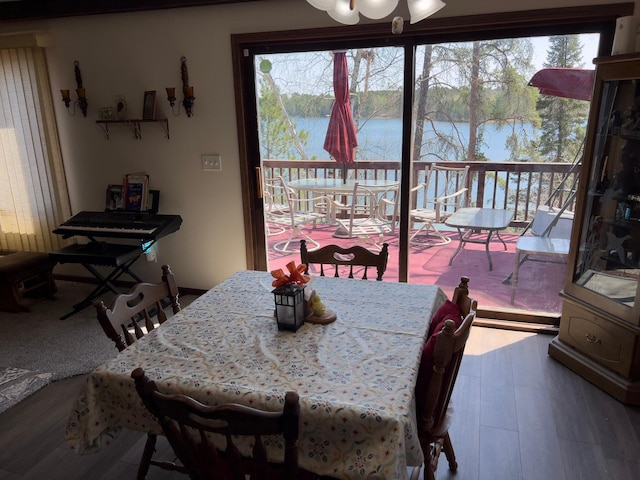 22612 Greenwood Loop, Park Rapids, MN 56470 - dining room featuring a water view and wood finished floors