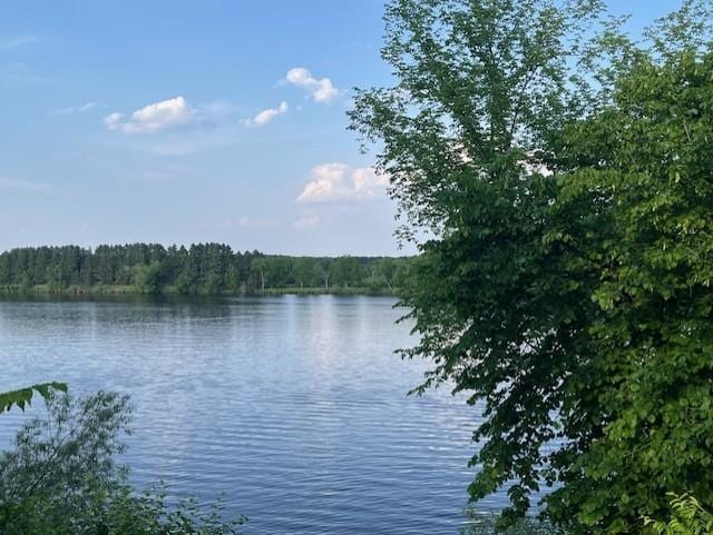 4762 383rd St, Sartell, MN 56377 - water view featuring a forest