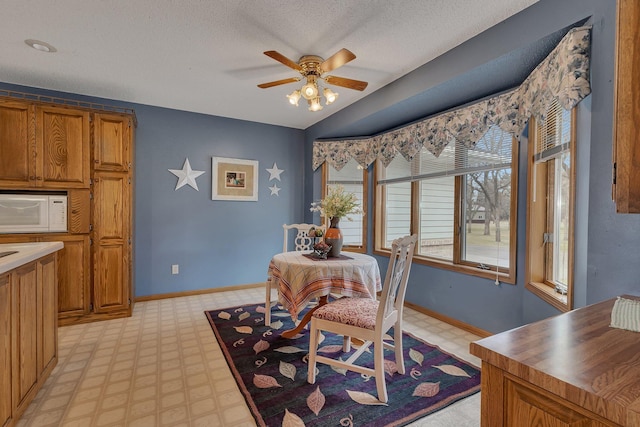 4762 383rd St, Sartell, MN 56377 - dining space with light floors, a ceiling fan, a textured ceiling, and baseboards