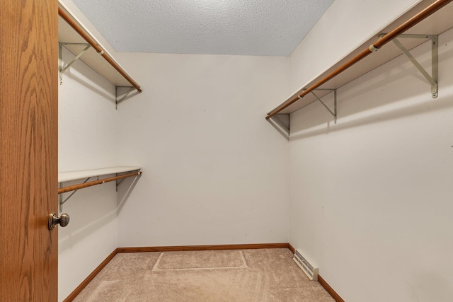 4762 383rd St, Sartell, MN 56377 - spacious closet with carpet flooring