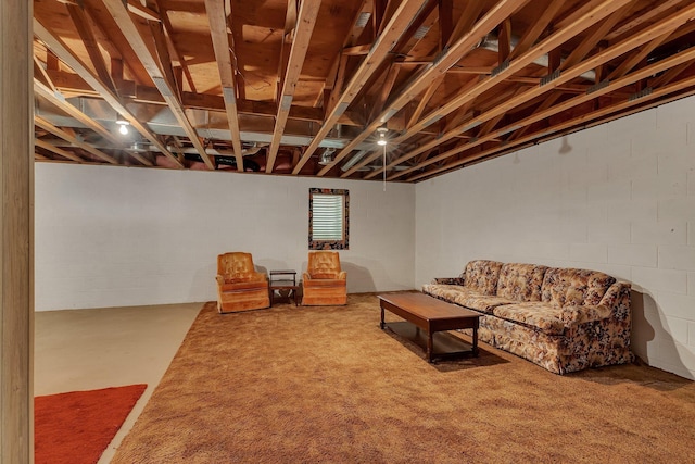 4762 383rd St, Sartell, MN 56377 - living room with concrete floors and concrete block wall