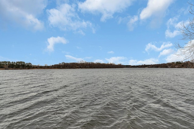 4762 383rd St, Sartell, MN 56377 - water view