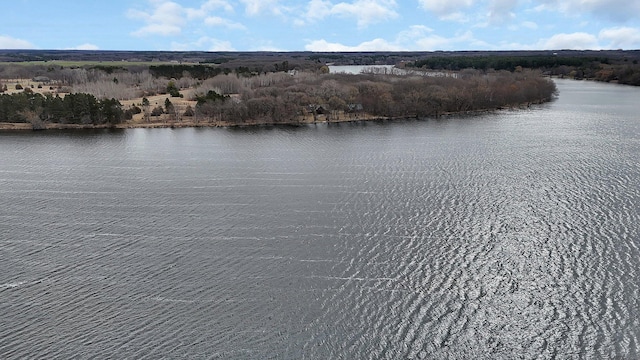 4762 383rd St, Sartell, MN 56377 - drone / aerial view of a large body of water