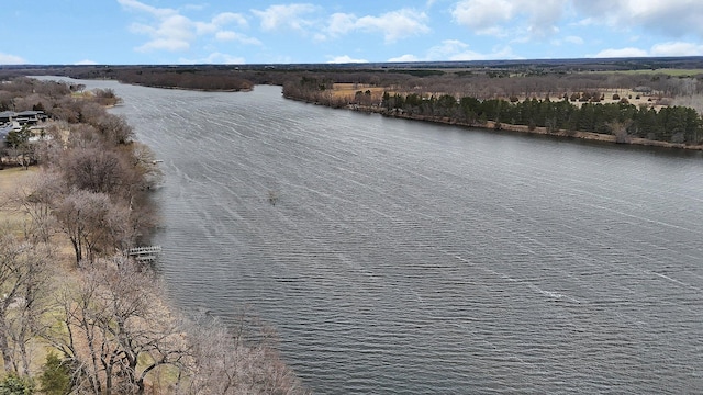 4762 383rd St, Sartell, MN 56377 - bird's eye view of a nearby body of water