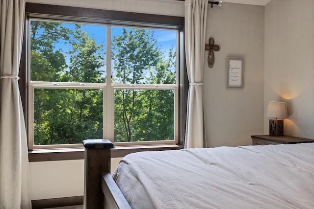 1030 Bellaire Blvd NW, Isanti, MN 55040 - view of bedroom