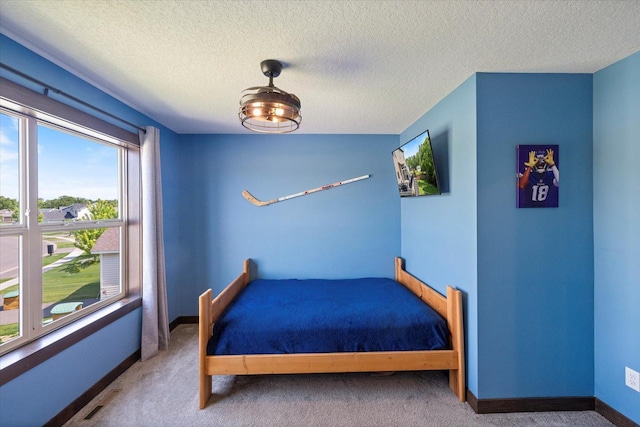 1030 Bellaire Blvd NW, Isanti, MN 55040 - bedroom featuring carpet flooring, a textured ceiling, and baseboards