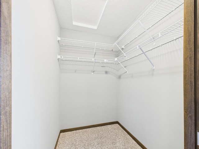 1214 Olivia St SE, New Prague, MN 56071 - spacious closet with carpet flooring