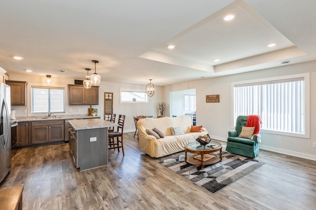 413 Fawn Run, Kenyon, MN 55946 - living area with baseboards, dark wood-type flooring, recessed lighting, and a tray ceiling