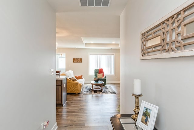 413 Fawn Run, Kenyon, MN 55946 - corridor with wood finished floors and baseboards