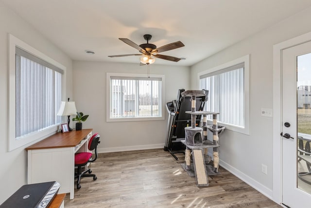 413 Fawn Run, Kenyon, MN 55946 - office space featuring plenty of natural light, wood finished floors, a ceiling fan, and baseboards
