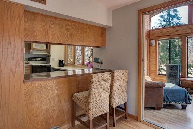 607 Cross Ave S, Amery, WI 54001 - kitchen with electric range oven, a kitchen breakfast bar, under cabinet range hood, white microwave, and light wood-style flooring