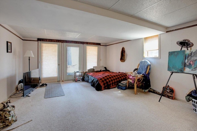 607 Cross Ave S, Amery, WI 54001 - bedroom with carpet floors, access to outside, and a paneled ceiling