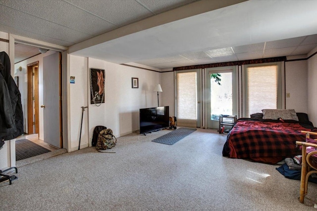 607 Cross Ave S, Amery, WI 54001 - carpeted bedroom featuring access to exterior and a drop ceiling