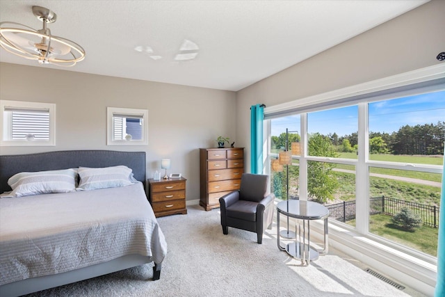 5360 Pine Island Rd, Woodbury, MN 55129 - bedroom featuring light carpet