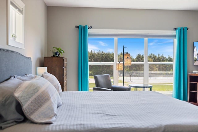 5360 Pine Island Rd, Woodbury, MN 55129 - view of bedroom